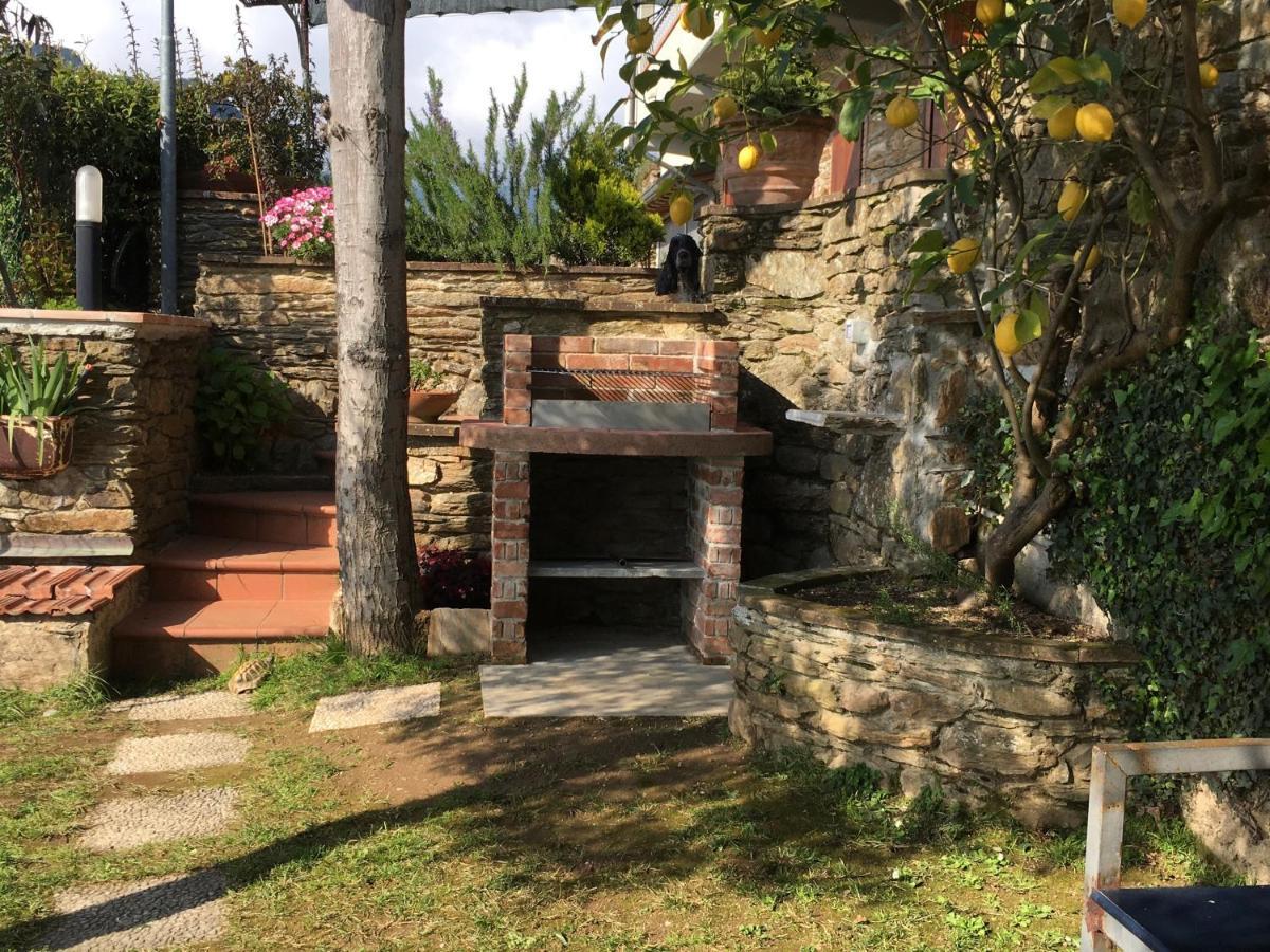 Villa Gelsomini Massa  Exterior foto