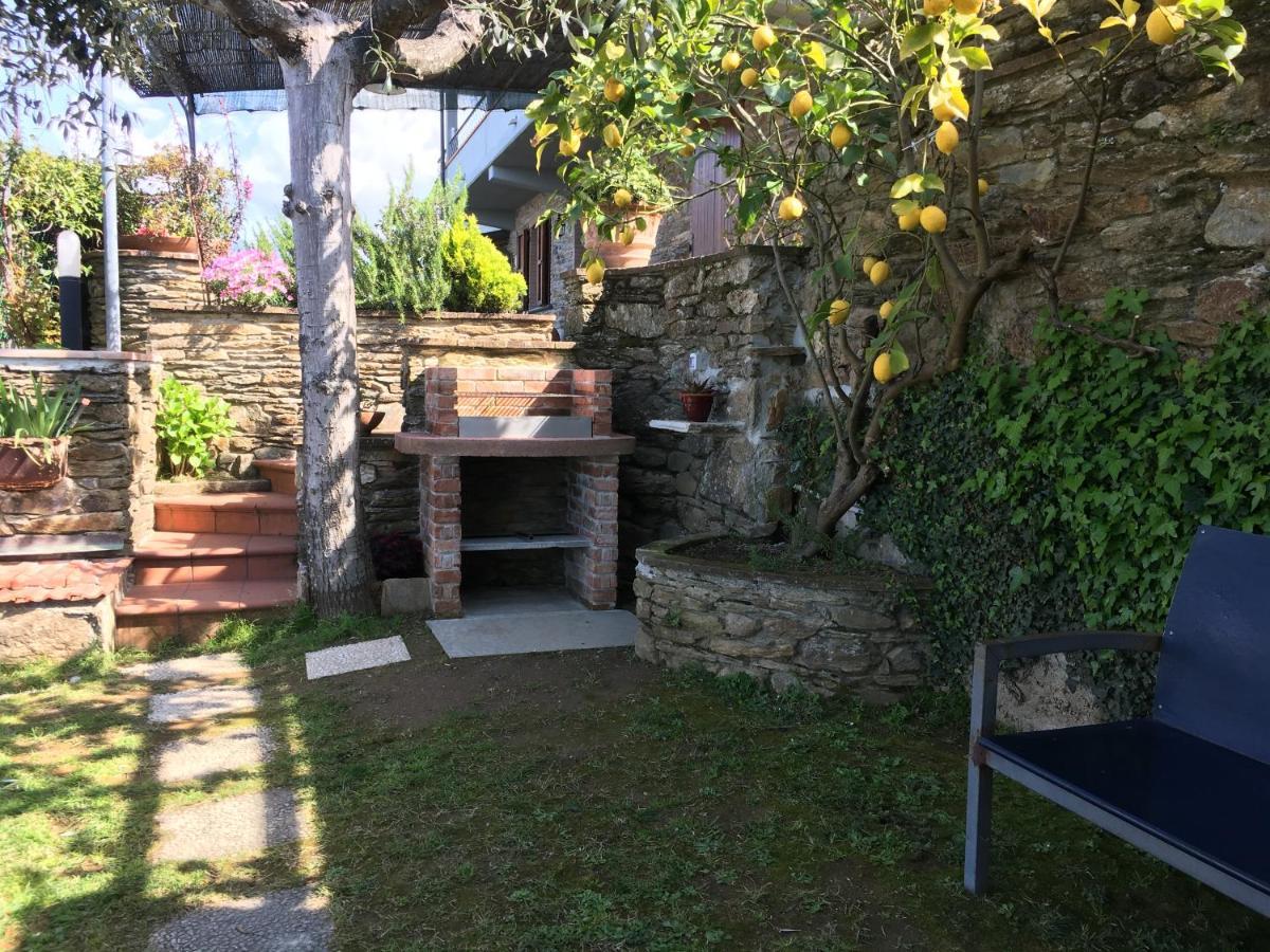 Villa Gelsomini Massa  Exterior foto